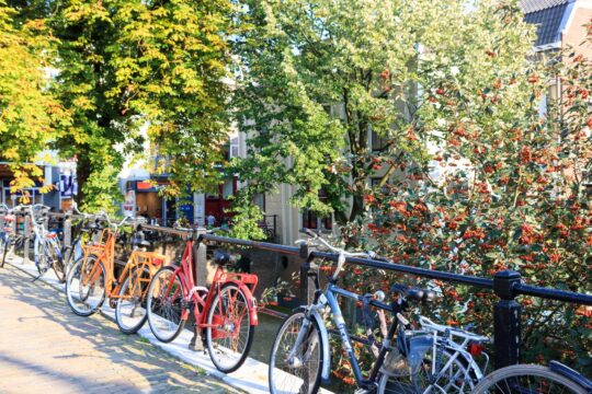 Utrecht canal with bikes