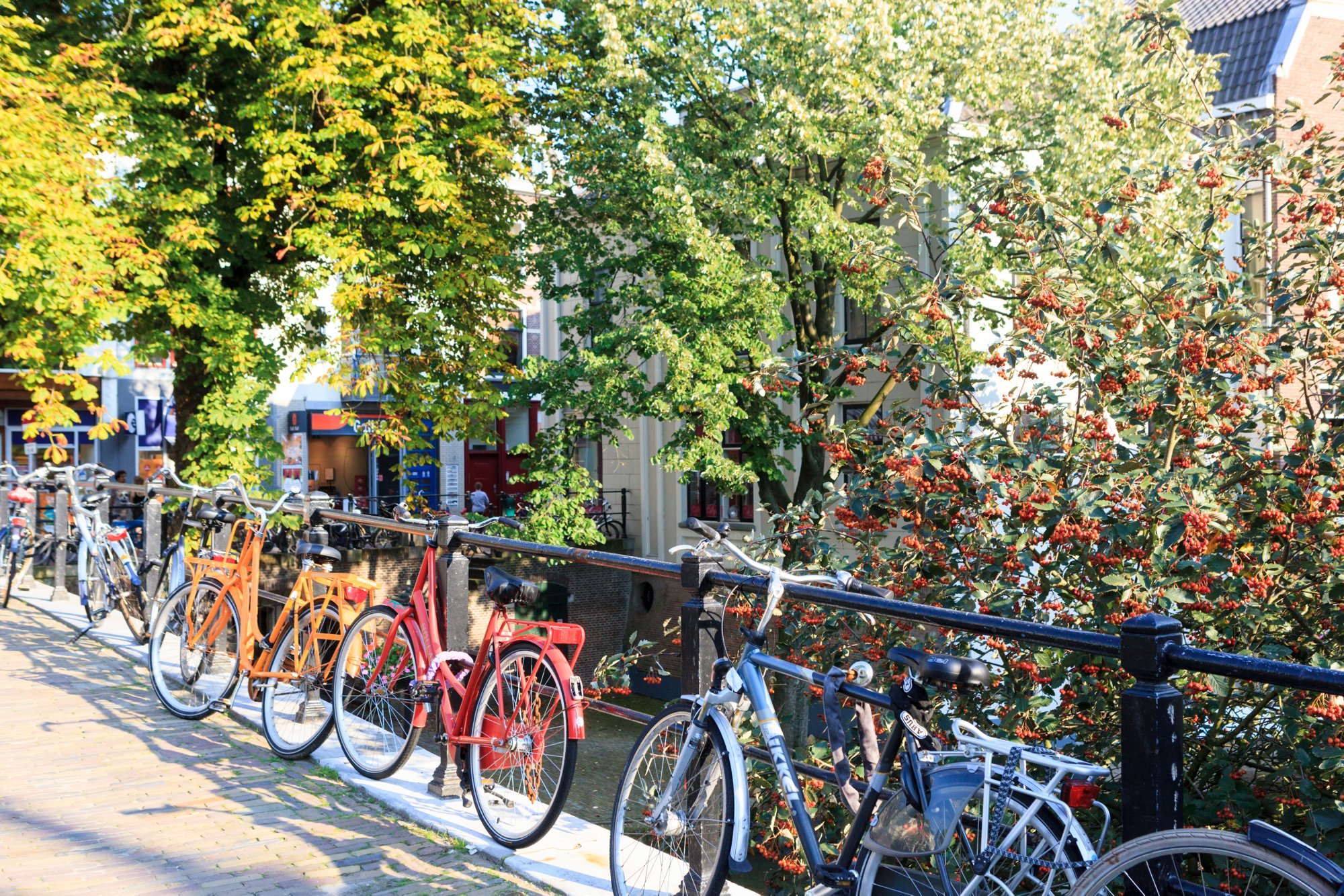 Utrecht canal with bikes